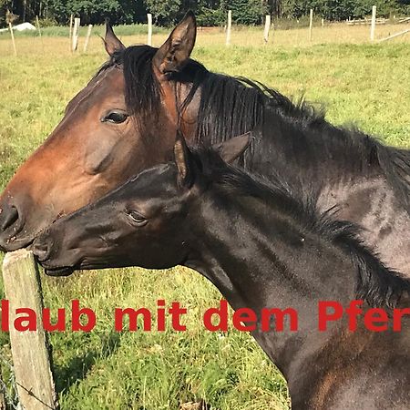 Apartament Hardtmuehle Momberg Zewnętrze zdjęcie